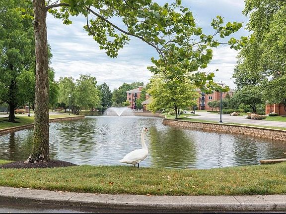 Central Pond