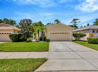 8137 Ponkan Rd, Land O Lakes, FL 34637
