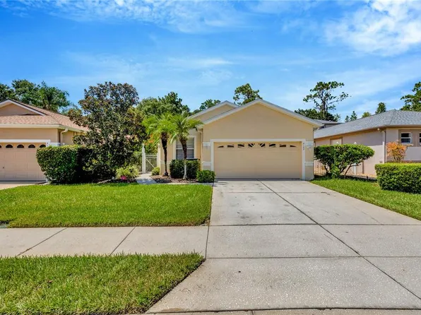 8137 Ponkan Rd, Land O Lakes, FL 34637