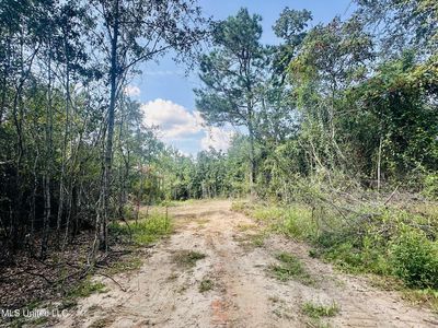 Man Moulds Rd, Leakesville, MS, 39451