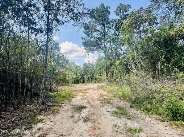 Man Moulds Rd, Leakesville, MS 39451