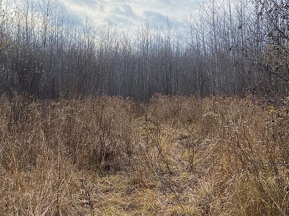4th image of Near Timber Road