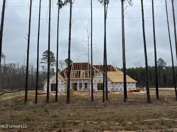 227 Lost Oak Ln, Brandon, MS 39047