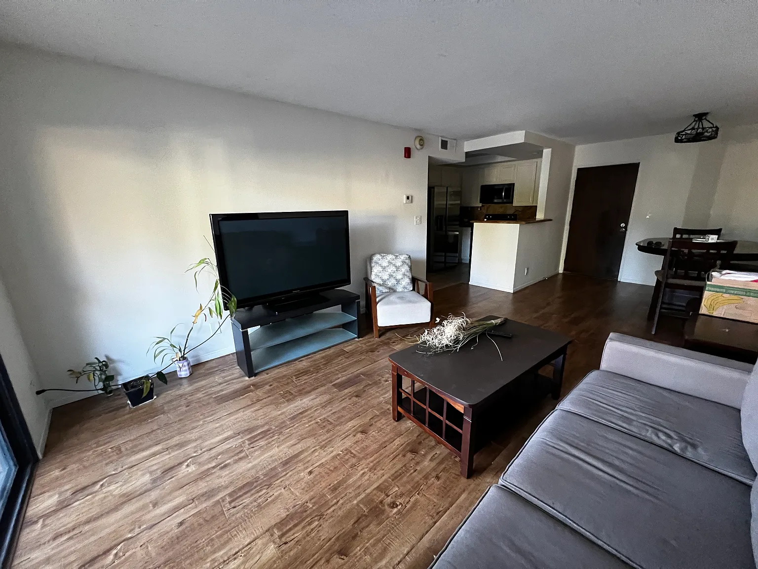 1 bed, 599 sqft, $1,997 — Photo 3