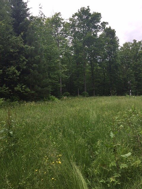 2nd image of 126 Smoky Lake Dr