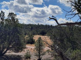 31394 W Bandera Rd, Seligman, AZ 86337