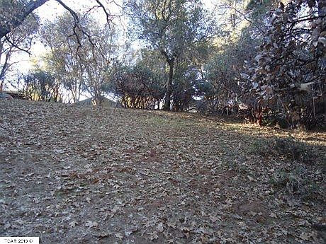 2nd image of 12848 Mueller Dr