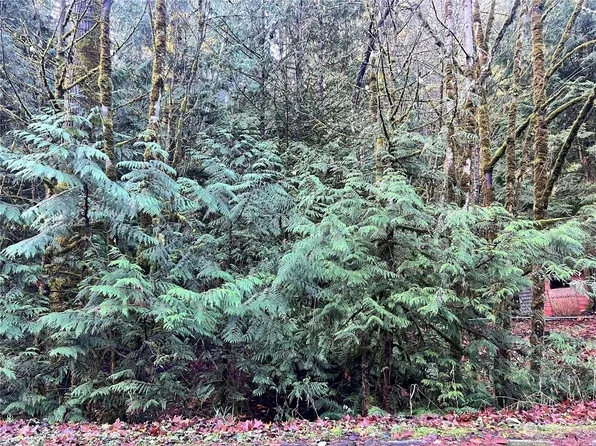 20 Twin Flower Circle, Bellingham, WA 98229