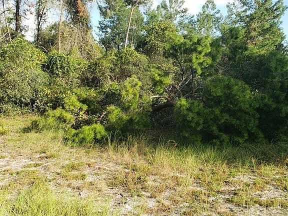 4th image of 27444 County Road 42