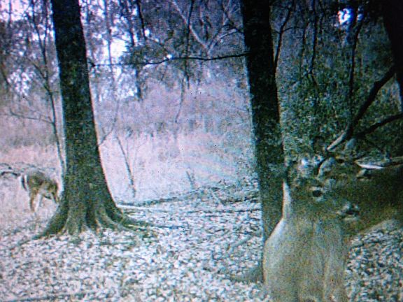 House and Land 17.98 Acres