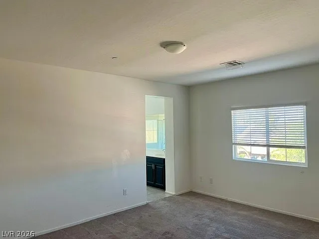 4524 Roaming Vines St — Photo 16