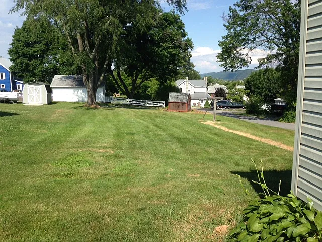 2 bed, 1085 sqft, $1,100 — Photo 2