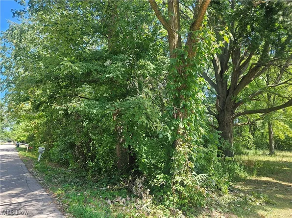 Fleming Ave, Lorain, OH 44055