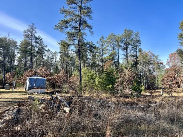 2339 Ruth Rd, Lewiston, MI 49756