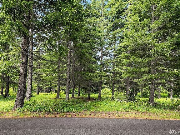 Looking back at the level lot from the cart path.