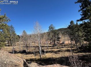 21 County Road 403, Guffey, CO 80820