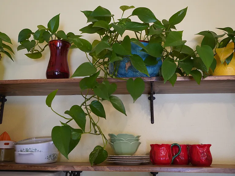 6933A Solano Verde Dr — Photo 19