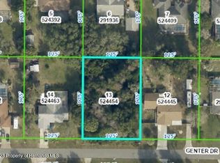 LOT 13 Genter Dr, Spring Hill, FL 34609