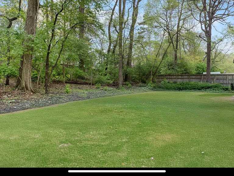 4154 Trees Dr — Photo 3