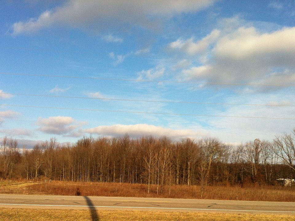 view from Johnson Rd.