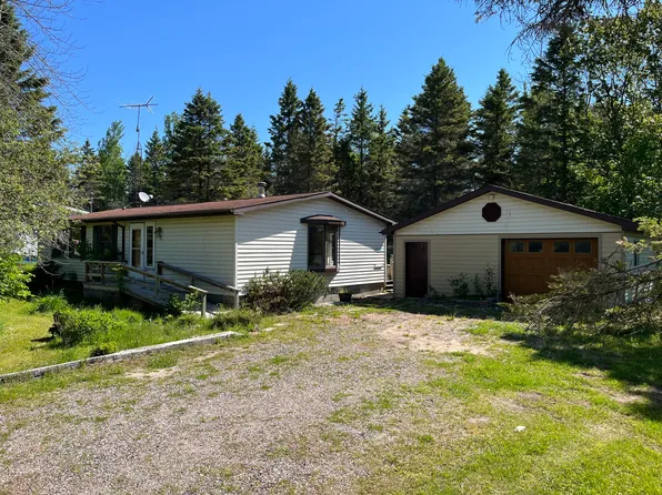 93 SE Griffin Dr, Cedarville, MI 49719