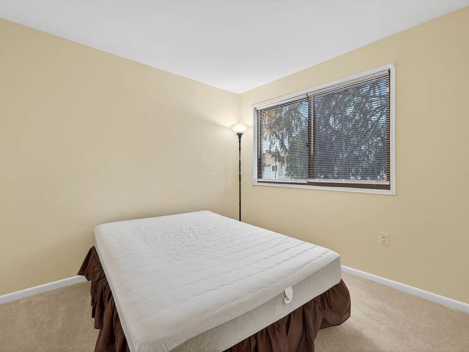 13045 Thyme Court - 1 — Photo 3