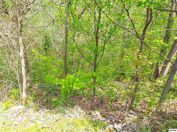 5th image of 63 Redtail Rd Lot 63E