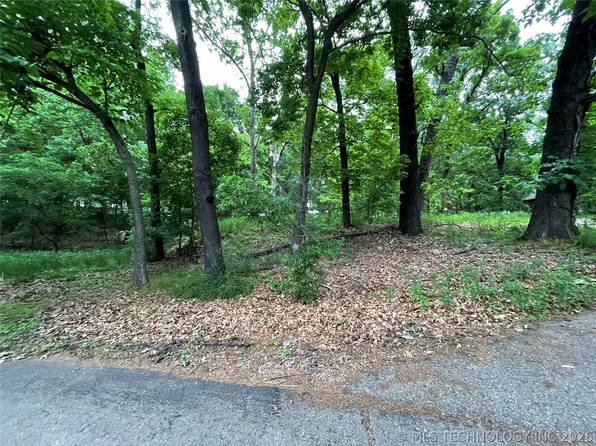 Gran Dr, Afton, OK 74331