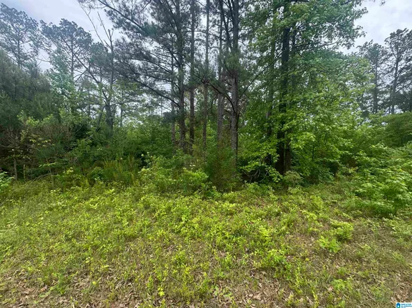 0 County Road 42 #0, Jemison, AL 35085