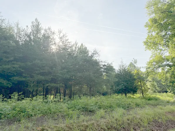 0 Black Oak Rd, Sale Creek, TN 37373