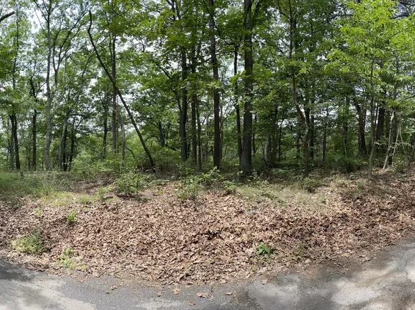 Oakwood Street Lots #349-351, Cumberland, MD 21502
