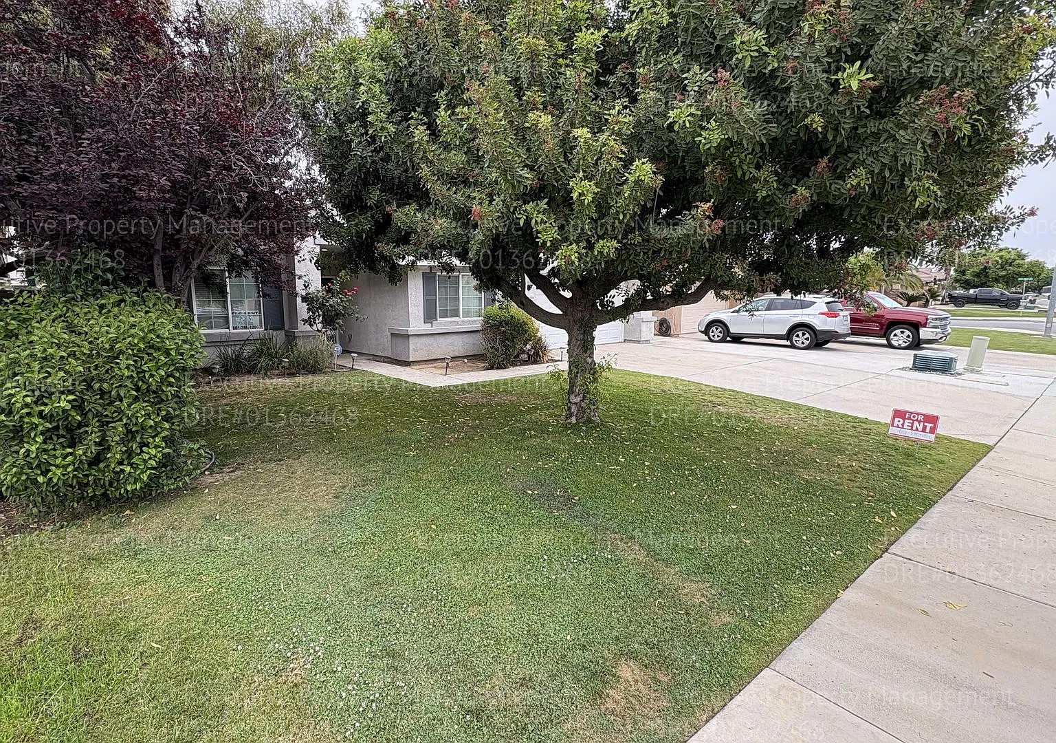 Spacious 4 bedroom 2 bathroom home located in the Ashton Falls community *Move In Special* — Photo 2