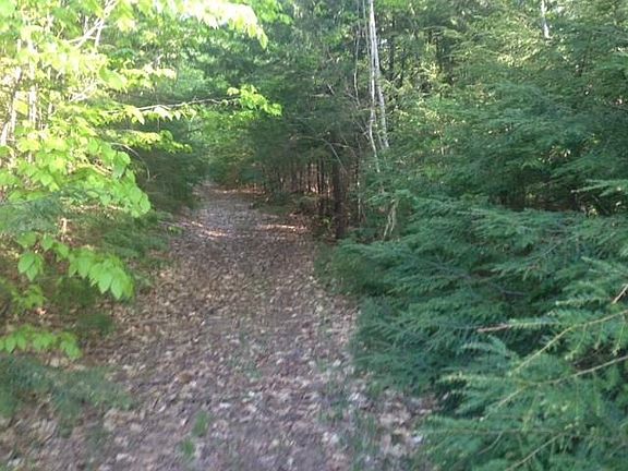5th image of 00 Wild Rose Lane