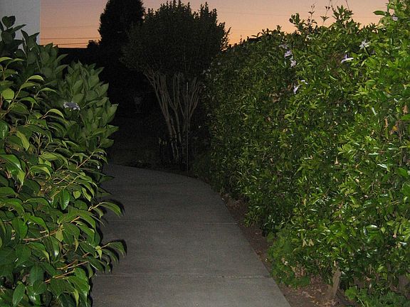 Walkway to backyard.