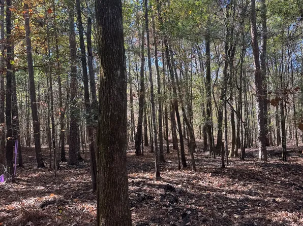 157 W Drummond Rd, West Pt, GA 31833