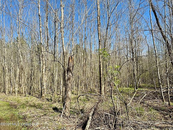 2nd image of 0 Swamp Rd