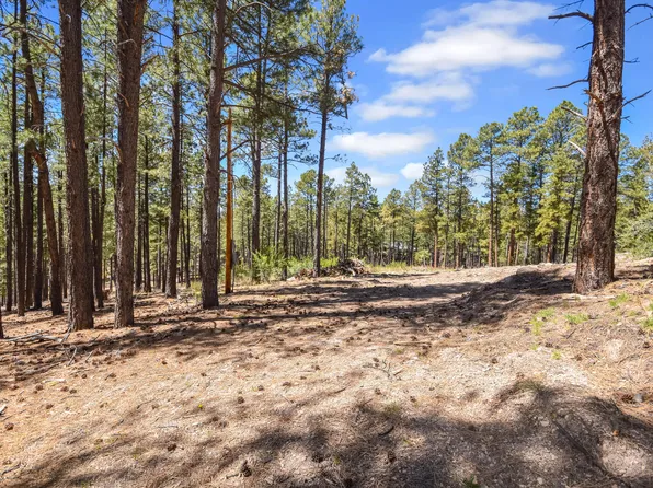 28 Bonito Way, Jemez Springs, NM 87025