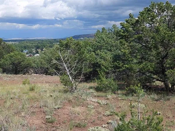 376 French Drive, South Fork, CO 81154