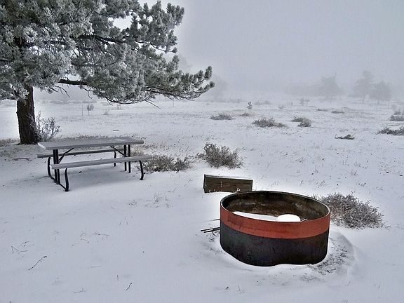 3rd image of 784 Iron Mountain Dr