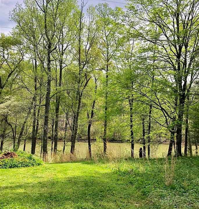 2nd image of 0 County Road 5 Woody Ln Lot 1