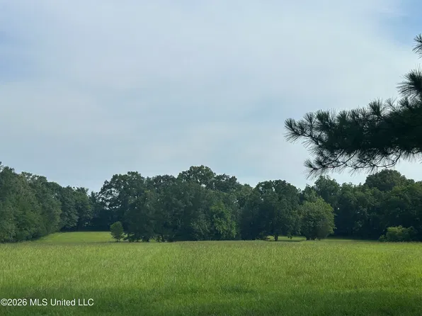 1 Green Acres Dr, Canton, MS 39046