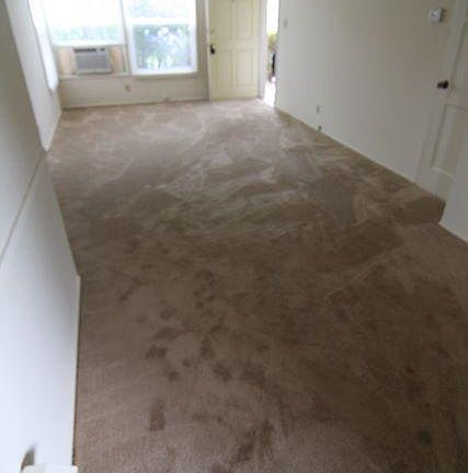 5th image of 1813 N Glenoaks Blvd