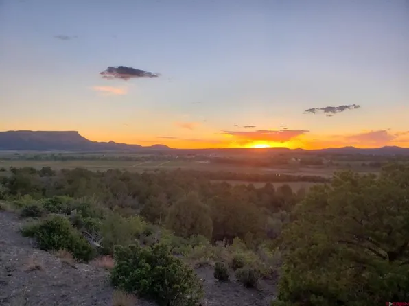 7674 Road 40.3, Mancos, CO 81328