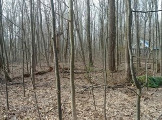 7127 Charles St, Fennville, MI 49408