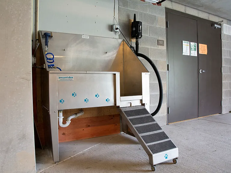 The Woodlands Pet Spa Station