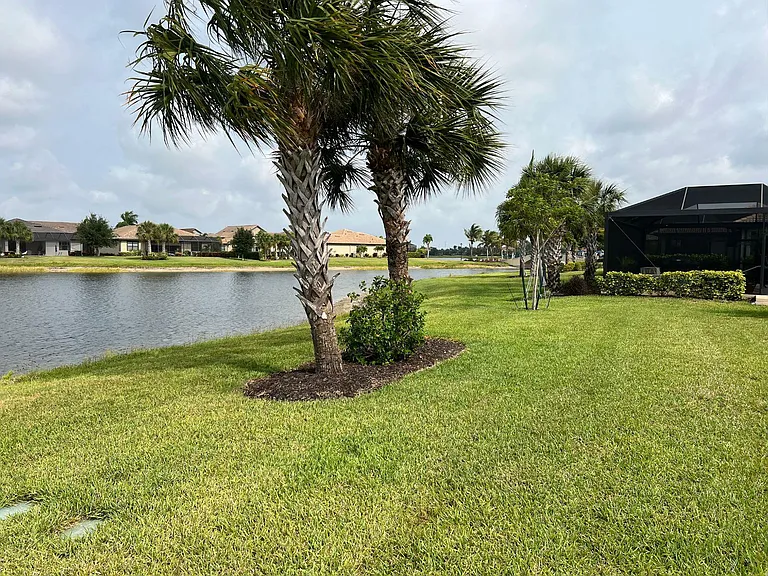 View of back yard and lake