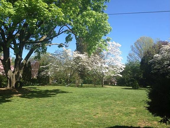Huge Shaded Back Yard