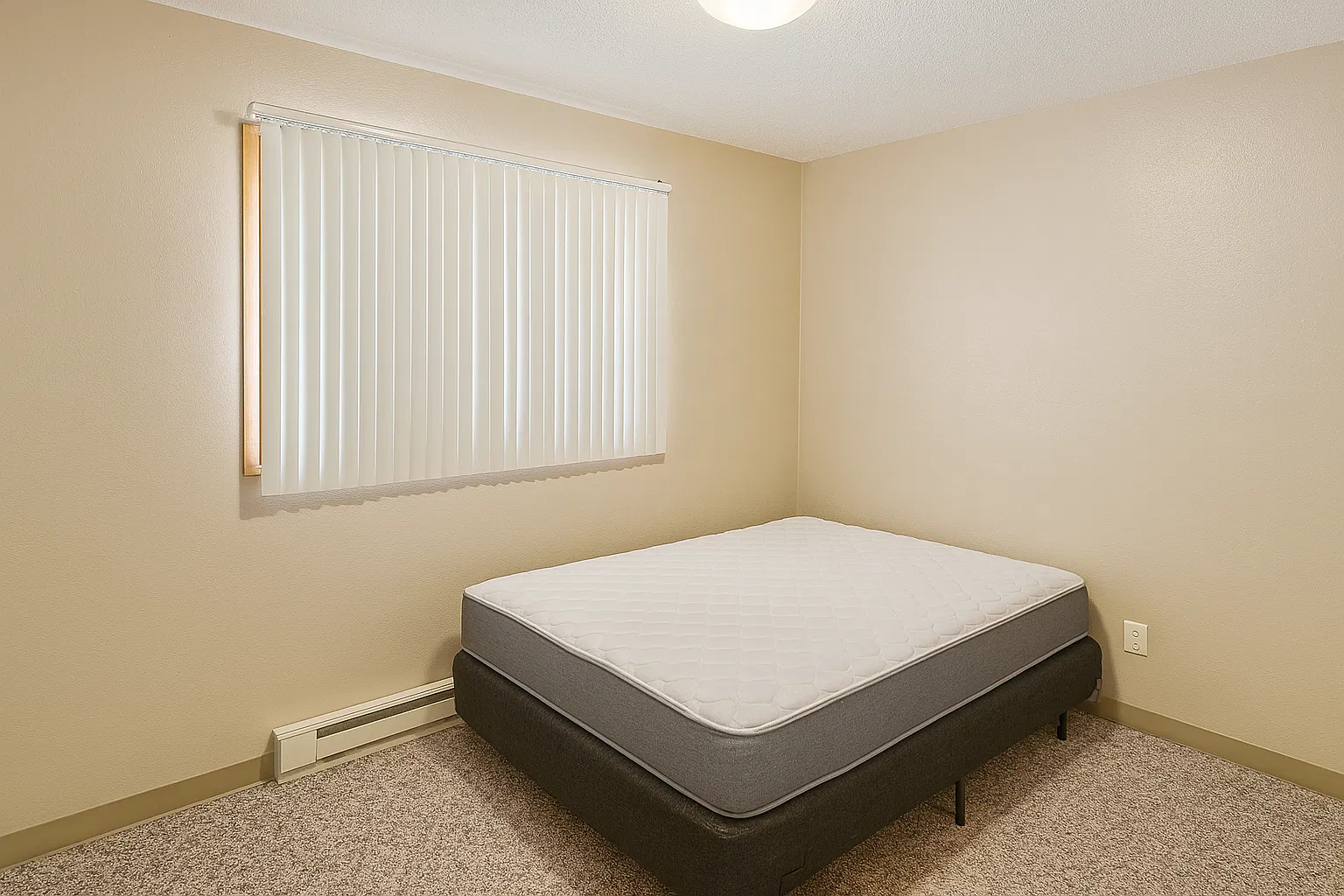 2 bed, 800 sqft, $1,000 — Photo 4