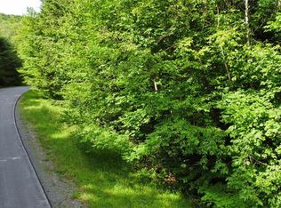 0 Bailey Rd, Jewett, NY 12444