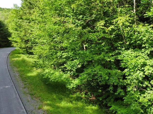 0 Bailey Rd, Jewett, NY 12444